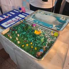 2025-ciencias-instituto-pioxi-ramos-64
