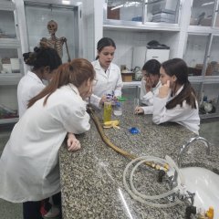 2023-dna-pioxi-1