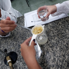2024-dna-ensino-medio-pioxi-1
