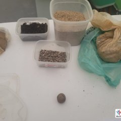 2023-begreen-pioxi-11