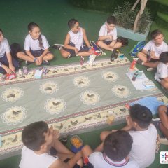 2023-begreen-pioxi-112