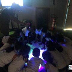 2023-begreen-pioxi-118