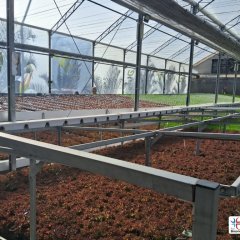 2023-begreen-pioxi-125