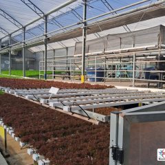 2023-begreen-pioxi-128
