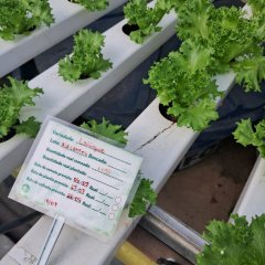 2023-begreen-pioxi-129