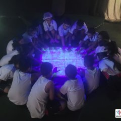 2023-begreen-pioxi-21