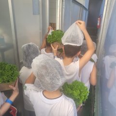 2023-begreen-pioxi-32