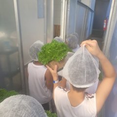 2023-begreen-pioxi-36