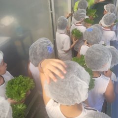 2023-begreen-pioxi-37