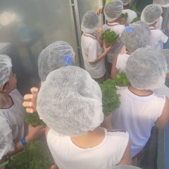 2023-begreen-pioxi-38