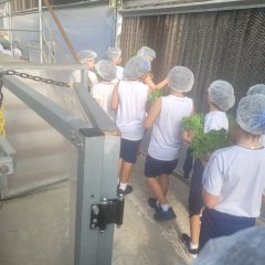 2023-begreen-pioxi-39