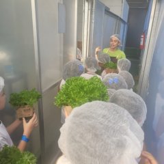 2023-begreen-pioxi-40