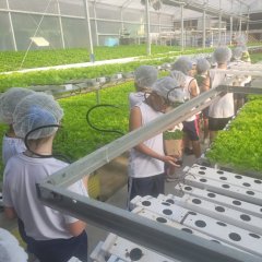 2023-begreen-pioxi-44