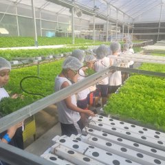 2023-begreen-pioxi-45