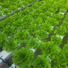 2023-begreen-pioxi-47
