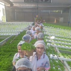 2023-begreen-pioxi-49