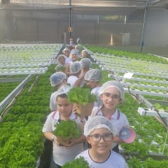 2023-begreen-pioxi-50