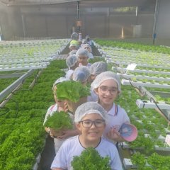 2023-begreen-pioxi-51