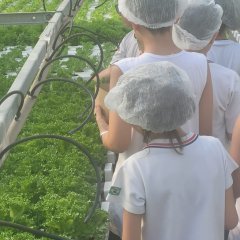 2023-begreen-pioxi-54