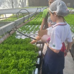 2023-begreen-pioxi-58