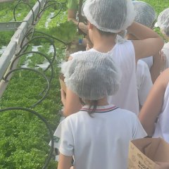 2023-begreen-pioxi-61