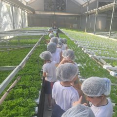2023-begreen-pioxi-62