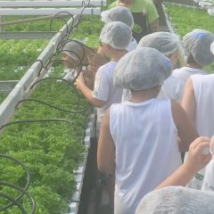 2023-begreen-pioxi-65