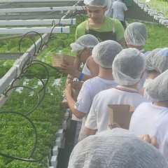 2023-begreen-pioxi-66