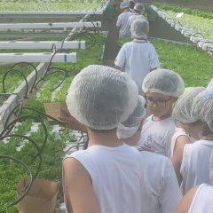 2023-begreen-pioxi-68