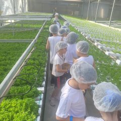 2023-begreen-pioxi-69