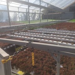 2023-begreen-pioxi-71