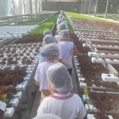 2023-begreen-pioxi-72