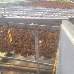 2023-begreen-pioxi-75