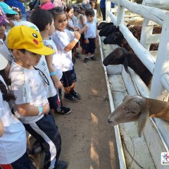 2023-natureza-inteligente-pioxi-115