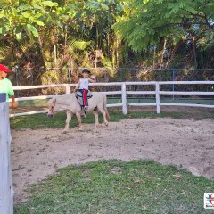 2023-natureza-inteligente-pioxi-152