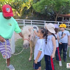 2023-natureza-inteligente-pioxi-166