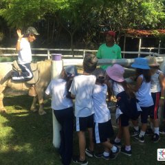 2023-natureza-inteligente-pioxi-230
