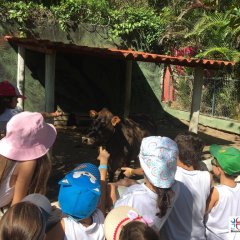 2023-natureza-inteligente-pioxi-232