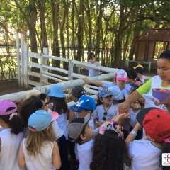 2023-natureza-inteligente-pioxi-233