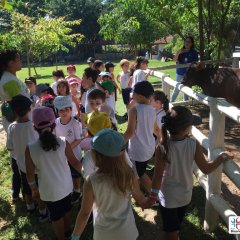2023-natureza-inteligente-pioxi-238