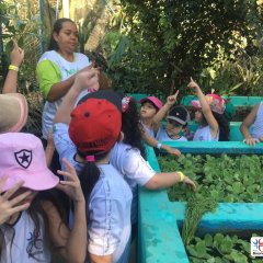 2023-natureza-inteligente-pioxi-243