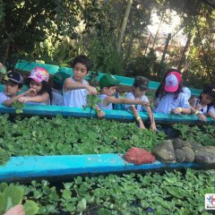 2023-natureza-inteligente-pioxi-246
