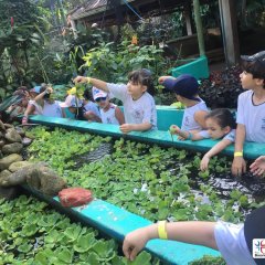 2023-natureza-inteligente-pioxi-248