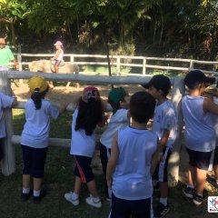 2023-natureza-inteligente-pioxi-251