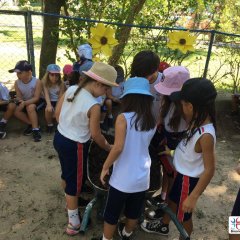 2023-natureza-inteligente-pioxi-256