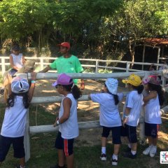 2023-natureza-inteligente-pioxi-258