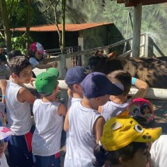 2023-natureza-inteligente-pioxi-271