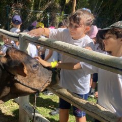 2023-natureza-inteligente-pioxi-275