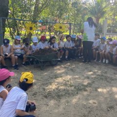 2023-natureza-inteligente-pioxi-276