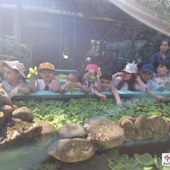 2023-natureza-inteligente-pioxi-28
